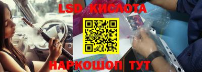 прущие грибы Комсомольск-на-Амуре