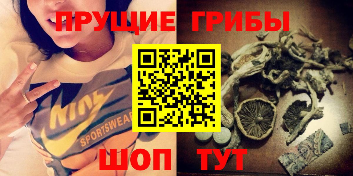 Псилоцибиновые грибы мухоморы  как найти закладки  Сосновый Бор  Вход с VPN  Псилоцибиновые грибы Cubensis 